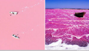Pink lake senegal