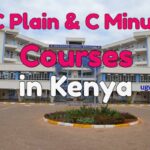 Best and Marketable C- Courses in Kenya, 2023